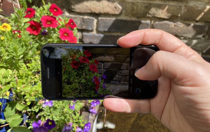 iPhone SE 2020 Test: Kamera-Aufnahme im Querformat