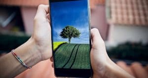 Smartphone in zwei Händen mit Feld und Baum