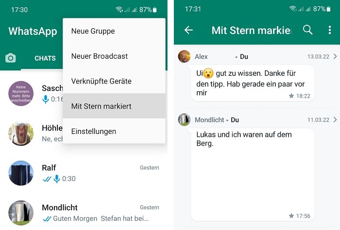 Die Stern-Sektion in WhatsApp