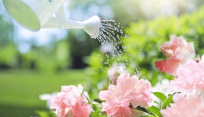 Digitale Bewässerung (Bild: JillWellington @ pixabay)