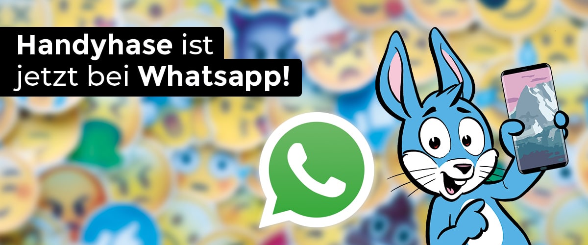 Handyhase ist jetzt bei Whatsapp