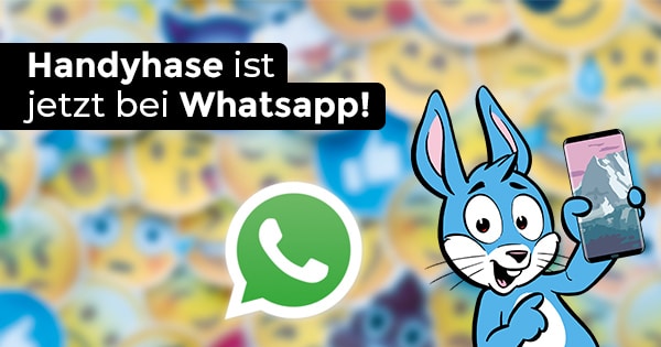 Handyhase ist jetzt bei WhatsApp