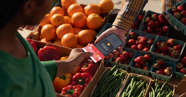 Mensch bezahlt mit Karte an einem Gemüsestand kontaktlos an einem iPhone des Standes