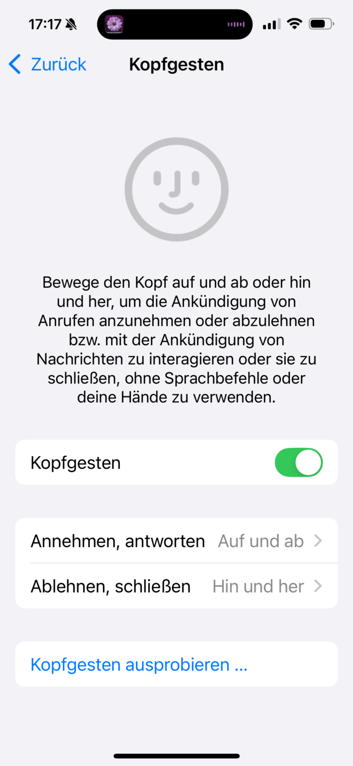 Screenshot des Menüs für Kopfgesten bei AirPods und Siri in iOS 18