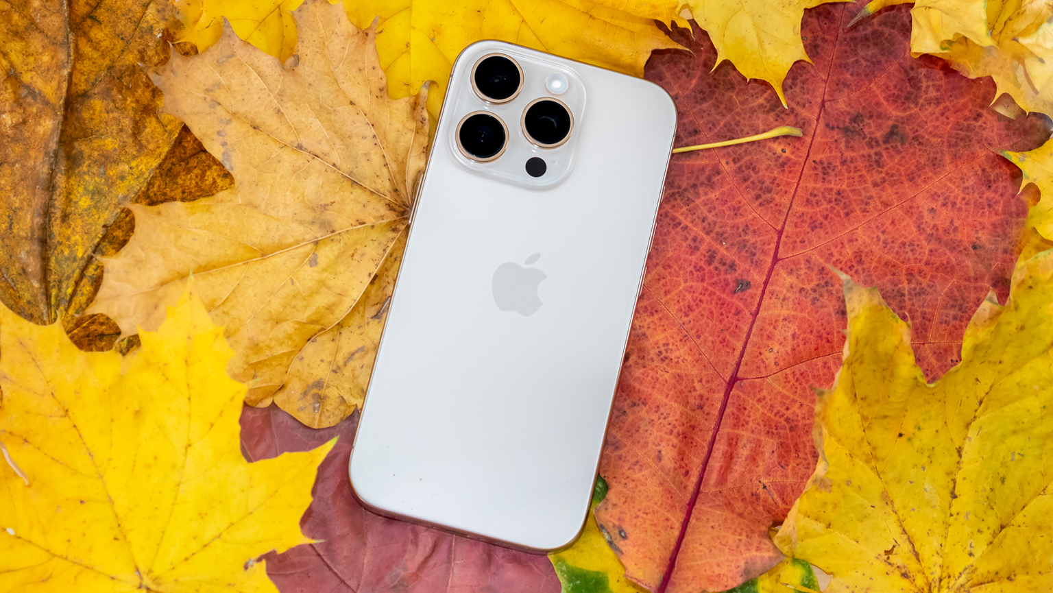 Apple iPhone 16 Pro in Titan Weiß von hinten vor Herbstlaub