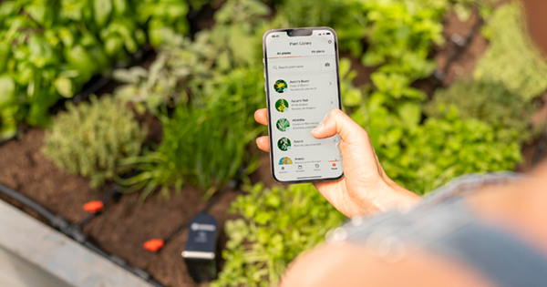 Mit dem Handy den Garten smart bewässern