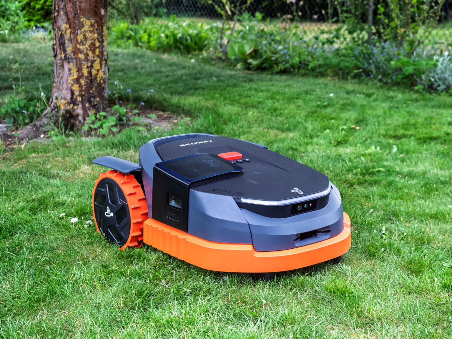 Segway Navimow X330E im Garten