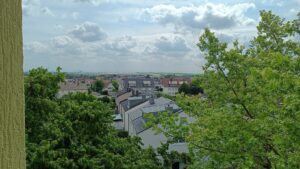Kamera-Beispielfoto 2