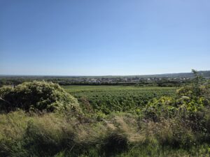 Weitwinkel-Aufnahme 2