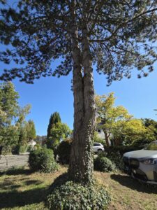 Ultraweitwinkel-Aufnahme 1