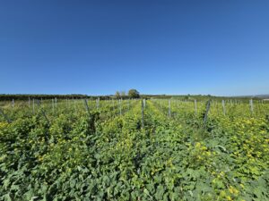 Ultraweitwinkel-Aufnahme 3