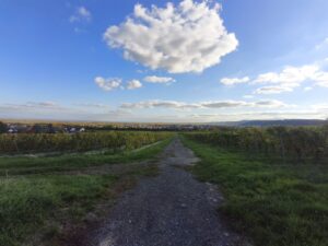 Ultraweitwinkel-Aufnahme