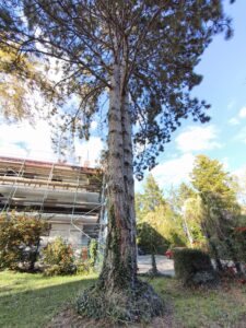 Ultraweitwinkel-Aufnahme