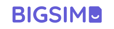 BIGSIM Logo