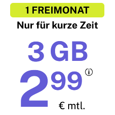 BIGSIM Aktion mit Freimonat