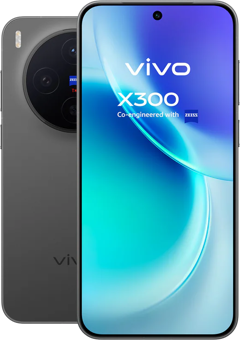 vivo X300
