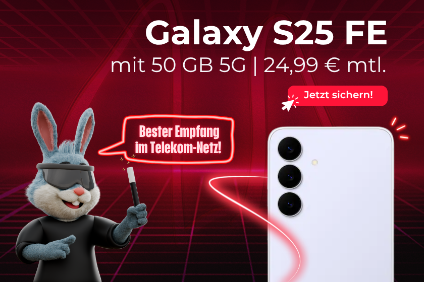 Handyhelden S25 FE 24,99