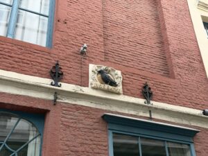 Testshot: iPhone 17 Pro Max - Haupt_24 #2