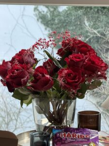 Testshot: iPhone 17 Pro Max - Tele_100 #1