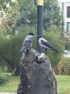 Testshot: iPhone 17 Pro Max - Tele_200 #5