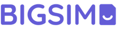 BIGSIM