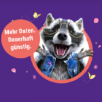 SIMon Frühlinsangebote Teas Thumb