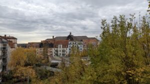 vivo X300 Pro Testfoto – Busch