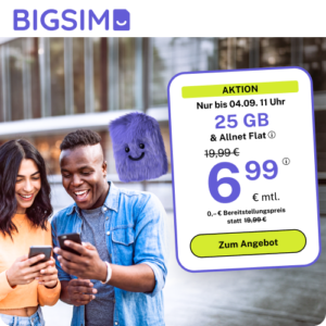 BIGSIM