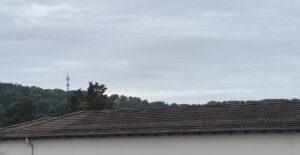 Ausschnitt ohne Zoomstufe