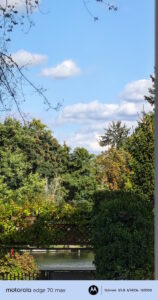 Motorola Edge 70 Max im Test – Beispielfoto (Natur)