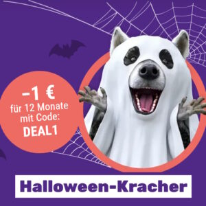 SIMon Halloween-Kracher – Teaser