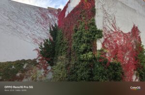 Oppo Reno 16 Pro Test – Foto mit 16 mm (0,6x)
