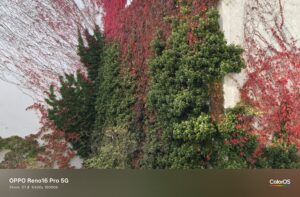 Oppo Reno 16 Pro Test – Foto mit 24 mm (1x)