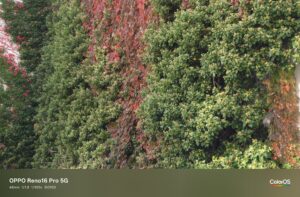 Oppo Reno 16 Pro Test – Foto mit 48 mm (2x)