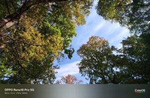 Oppo Reno 16 Pro Test – Bäume und Wolken