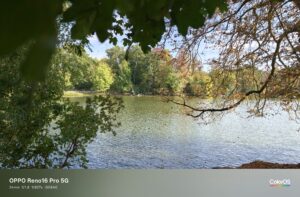 Oppo Reno 16 Pro Test – Seefoto